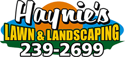 Haynie's Lawn and Landscaping